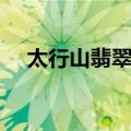 太行山翡翠谷（关于太行山翡翠谷简介）