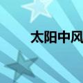 太阳中风证（关于太阳中风证简介）