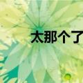 太那个了吧（关于太那个了吧简介）