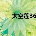 太空莲36号（关于太空莲36号简介）