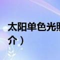 太阳单色光照相仪（关于太阳单色光照相仪简介）