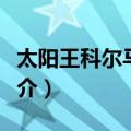 太阳王科尔马酒店（关于太阳王科尔马酒店简介）