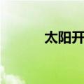 太阳开花（关于太阳开花简介）