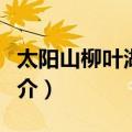 太阳山柳叶湖文化（关于太阳山柳叶湖文化简介）