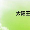 太阳王朝（关于太阳王朝简介）