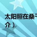 太阳照在桑干河上（关于太阳照在桑干河上简介）