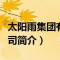 太阳雨集团有限公司（关于太阳雨集团有限公司简介）