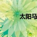 太阳马戏（关于太阳马戏简介）