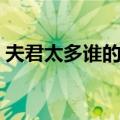 夫君太多谁的错（关于夫君太多谁的错简介）