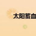 太阳蓄血证（关于太阳蓄血证简介）
