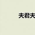 夫君夫君（关于夫君夫君简介）