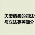 夫妻债务的司法认定与立法完善（关于夫妻债务的司法认定与立法完善简介）