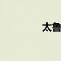 太鲁阁（关于太鲁阁简介）