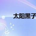 太阳黑子说（关于太阳黑子说简介）