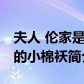 夫人 伦家是你的小棉袄（关于夫人 伦家是你的小棉袄简介）