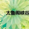 太鲁阁峡谷路（关于太鲁阁峡谷路简介）