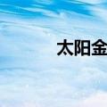 太阳金店（关于太阳金店简介）