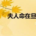 夫人命在旦夕（关于夫人命在旦夕简介）