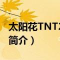 太阳花TNT2/16M（关于太阳花TNT2/16M简介）