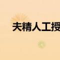 夫精人工授精（关于夫精人工授精简介）