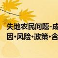 失地农民问题-成因·风险·政策·含义（关于失地农民问题-成因·风险·政策·含义简介）