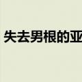 失去男根的亚当（关于失去男根的亚当简介）