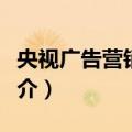 央视广告营销策略（关于央视广告营销策略简介）