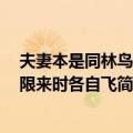 夫妻本是同林鸟 大限来时各自飞（关于夫妻本是同林鸟 大限来时各自飞简介）