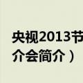 央视2013节目推介会（关于央视2013节目推介会简介）
