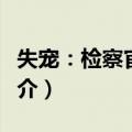 失宠：检察官皇后（关于失宠：检察官皇后简介）