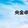 央金卓玛（关于央金卓玛简介）