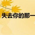 失去你的那一天（关于失去你的那一天简介）