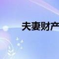 夫妻财产制（关于夫妻财产制简介）