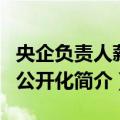 央企负责人薪酬公开化（关于央企负责人薪酬公开化简介）