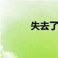 失去了你（关于失去了你简介）
