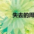 失去的周末（关于失去的周末简介）