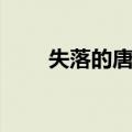 失落的唐骑（关于失落的唐骑简介）