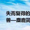 失而复得的珍兽—麋鹿（关于失而复得的珍兽—麋鹿简介）
