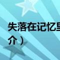 失落在记忆里的人（关于失落在记忆里的人简介）