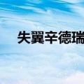 失翼辛德瑞拉（关于失翼辛德瑞拉简介）