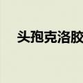 头孢克洛胶囊（关于头孢克洛胶囊简介）