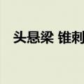 头悬梁 锥刺股（关于头悬梁 锥刺股简介）