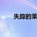 失踪的莱尼（关于失踪的莱尼简介）