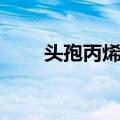 头孢丙烯片（关于头孢丙烯片简介）