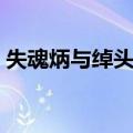 失魂炳与绰头王（关于失魂炳与绰头王简介）