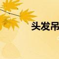 头发吊灯（关于头发吊灯简介）