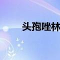 头孢唑林钠（关于头孢唑林钠简介）