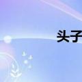 头子钱（关于头子钱简介）