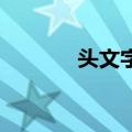 头文字T（关于头文字T简介）