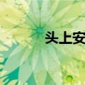 头上安头（关于头上安头简介）